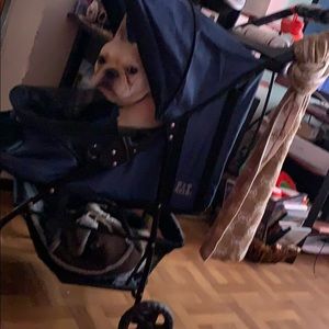 Meet your Posher, Eva